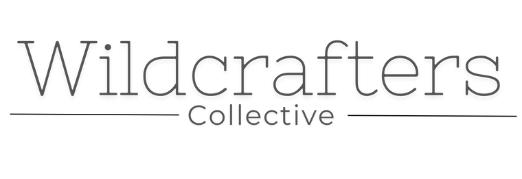 Wildcrafters Collective logo — handmade crafts, DIY workshops, and creative community for makers, artists, and dreamers.